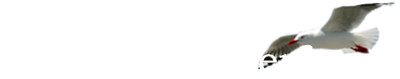 Header logo